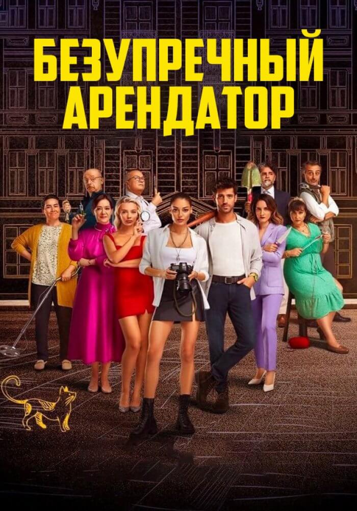 Турецкий сериал Идеальный арендатор